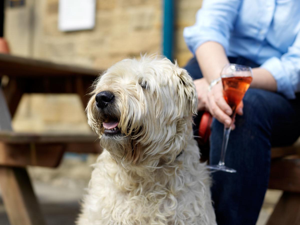 The Pilsley Inn - Chatsworth Baslow Dış mekan fotoğraf